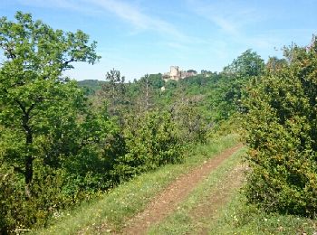 Tocht Stappen Sauveterre-la-Lémance - sauveterroise - Photo