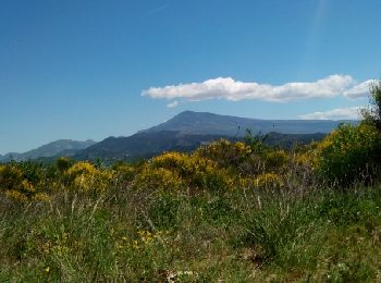 Trail Cycle Beaumes-de-Venise - ballade autour de Beaumes-de-Venise - Photo