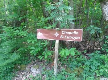 Trail Walking Castanet-le-Haut - Arête de Saint Eutrope - Photo