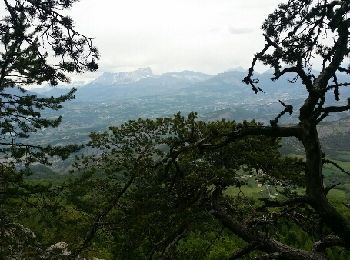 Trail Walking Venterol - venterol le mont seigneur - Photo