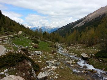 Trail Walking Villar-Saint-Pancrace - Briançonnais Chalets des Ayes - Photo
