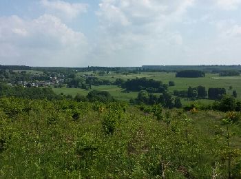 Tocht Stappen Manhay - oster - Photo