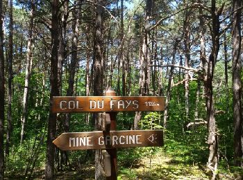 Trail Walking Furmeyer - Circuit du Fey - mine Garcine le 12-06-14 - Photo