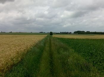 Tocht Paard Gembloers - POR - Stage 15/06/2014 - Photo