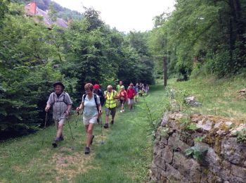 Tour Wandern Thiers - Marche du 17-6-2014 - Photo