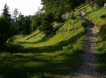 Trail Walking Beaumont-du-Ventoux - Mt Serein,  Mt Ventoux,  Pas de la Frache - Photo