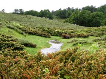 Excursión Senderismo Zicavo - GR 20® Liaison de Bocca di l'Agnone à Zicavu - Photo