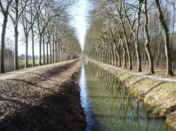 Tocht Paard Blancafort - Le Canal de la Sauldre - Blancafort - Photo