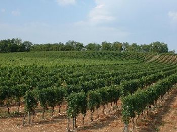 Randonnée V.T.T. Sérignac - De Sérignac à Bonnemaison - Photo