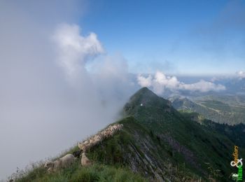 Trail Walking Verchaix - La Pointe d'Angolon 2090 m, depuis les Chalets de Joux Plane - Photo