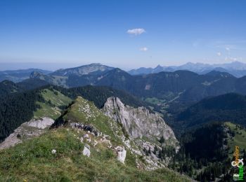 Tocht Stappen Bellevaux - La Haute Pointe 1968m, depuis le Plan des Rasses - Photo