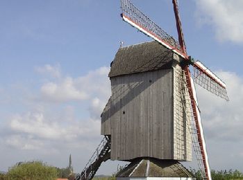 Tour Pferd Oudezeele - La ronde des moulins à vent - Oudezeele - Photo