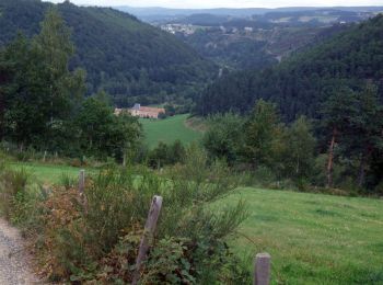 Randonnée Marche Val d'Arcomie - La vallée de la Truyère près de Loubaresse - Photo