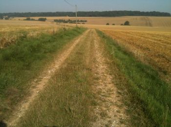 Trail Walking Grivesnes - Le Langueron - Grivesnes - Photo