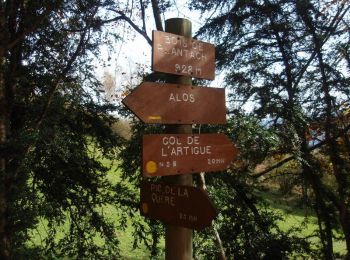 Randonnée Marche Alos - Le chemin de la Quère - Alos  - Photo