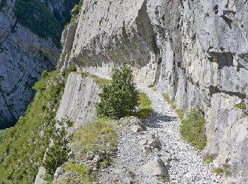 Tocht Stappen Urdos - Les lacs d'Ayous dans le Parc National des Pyrénées en 3 jours - Photo