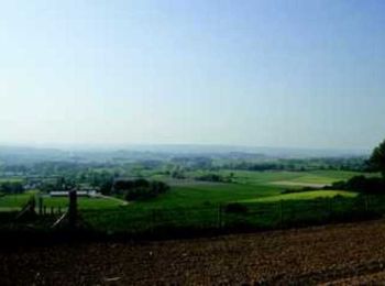 Randonnée Marche Samer - Le Mont Corbeau - Samer - Photo