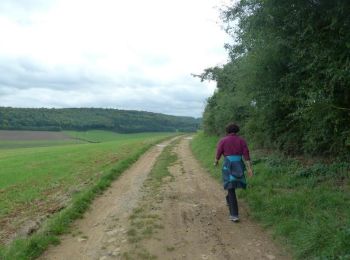 Tour Wandern Flize - Balade entre Balaives-et-Butz et Boutancourt  - Photo