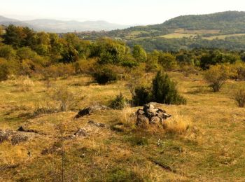 Trail Walking Ludesse - Entre Monne et Liauzun - Chaynat - Photo
