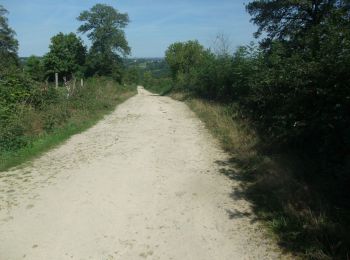 Trail Walking Saint-Priest-des-Champs - Non loin du pont du Bouchet - Lamazière - Photo