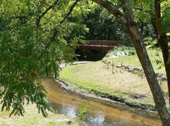 Trail Walking Cestas - Eau Bourdes - Cestas - Photo