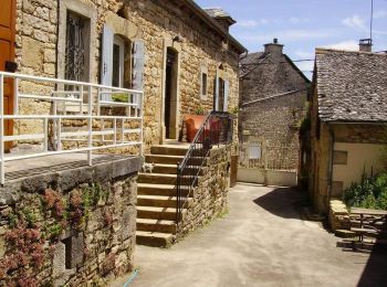 Tour Wandern Palmas d'Aveyron - Tour du village de Cruejouls - Photo