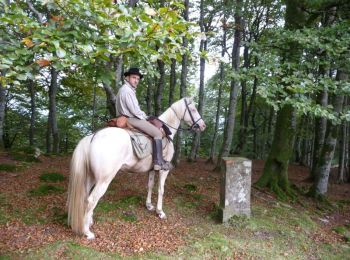 Trail Equestrian Lasse - Sentier des Contrebandiers - Lasse à Espila au Pays Basque - Photo