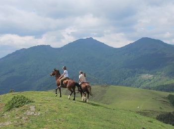 Randonnée Cheval Urepel - Sentier des Contrebandiers - de Urepel au col d'Elhorrieta au Pays Basque - Photo