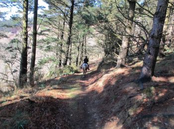 Tocht Paard Sare - Sentier des Contrebandiers - de Sare à Biriatou au Pays Basque - Photo