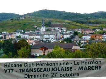 Excursión Bici de montaña Le Perréon - La 22ème Transbeaujolaise (2013-VTT-40km) - Le Perréon - Photo