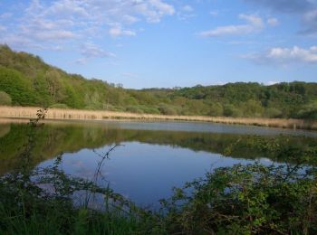 Excursión Bici de montaña Chamagnieu - Rando des Etangs - Chamagnieu   - Photo