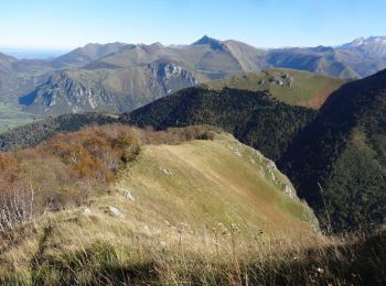 Randonnée Marche Bilhères - Le Rocher d'Aran - Bilhères en Ossau  - Photo