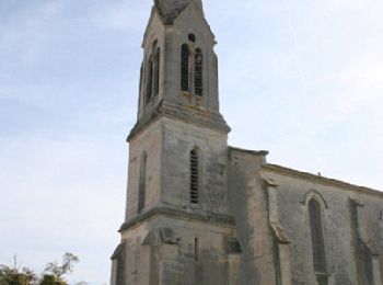 Tocht Paard Villeneuve-de-Duras - Saint-Léger, entre bois, vignes et vergers de pruniers - Photo