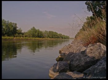 Tocht Stappen Robecq - Sentier les tchiens - Robecq - Photo