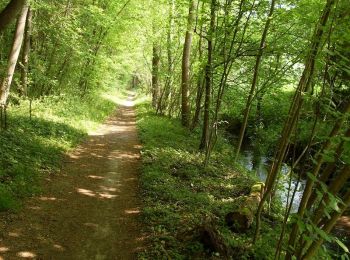 Excursión Senderismo Perdreauville - La forêt de Rosny - Apremont - Photo