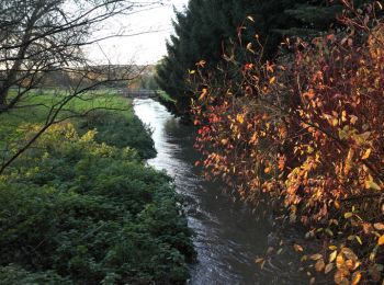 Tocht Stappen Igny - De Igny au Parc de Sceaux - Photo