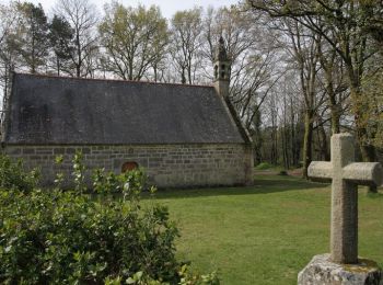 Tour Pferd Quistinic - De Quistinic à Bubry par les deux chapelles - Photo