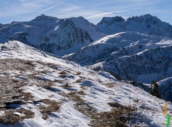 Randonnée Raquettes à neige La Table - Une traversée du Sommet du Grand Chat 1992m, depuis Prévieux - Photo