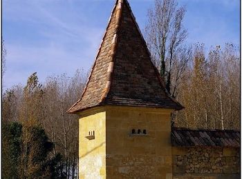 Tocht Stappen Flaujagues - Randonnée sur les pas de Pierre Loti - Flaujagues - Photo