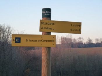 Trail Walking Bellegarde-Poussieu - Le Bois de Taravas - Bellegarde Poussieu - Photo