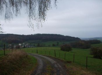 Trail Mountain bike Ham-les-Moines - De Ham les Moines à Villaine puis Blambay - Photo