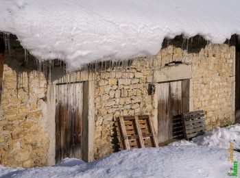 Tocht Sneeuwschoenen Villebois - Le Crêt de Pont 1059m, depuis Bouis - Photo