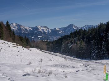 Tocht Stappen Arith - La Montagne de Bange 1434m, depuis Montagny - Photo
