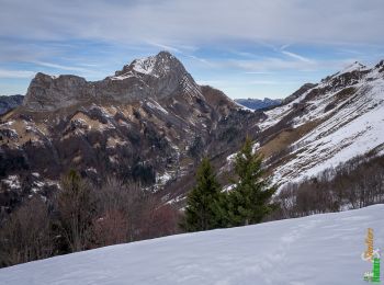 Tour Schneeschuhwandern Jarsy - La Pointe de la Limace 1836m, depuis le Coudray - Photo