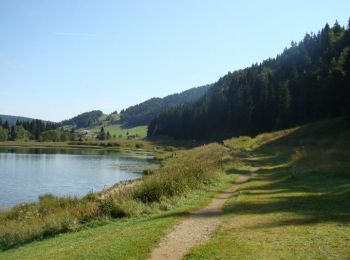 Trail Mountain bike Lamoura - La Chaux Berthod et les Eterpets en VTT - Lamoura - Photo