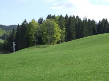 Tocht Mountainbike Lamoura - Tour du Sauget en VTT - Lamoura - Photo