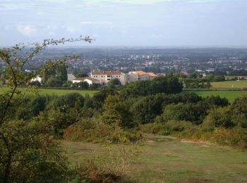 Trail Walking Les Herbiers - Autour du Mont des Alouettes - Les Herbiers - Photo