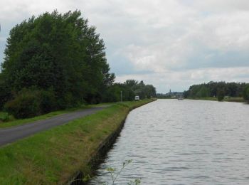 Tocht Stappen Billy-Berclau - Le chemin vert - Billy-Berclau - Photo