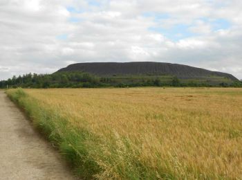 Tocht Stappen Haisnes - La gare - Haisnes - Photo