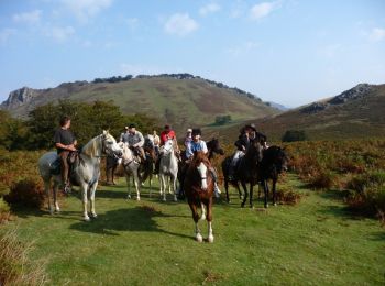 Tocht Paard Iholdy - Sentier des Contrebandiers - de Iholdy à Lasse au Pays Basque - Photo